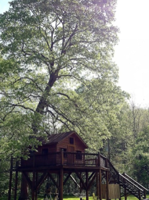 A wooden treehouse nestled in a large tree, surrounded by lush green foliage and sunlight filtering through the leaves.