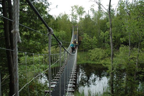 A suspension bridge stretches over a calm pond, surrounded by lush green trees and two people walking across.