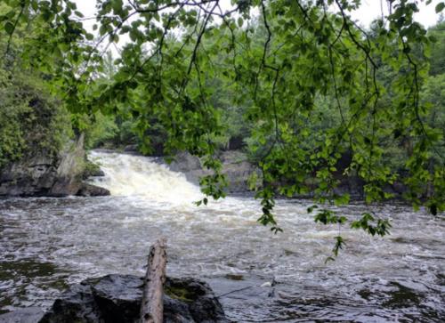A river flows rapidly over rocks, surrounded by lush green trees and foliage.