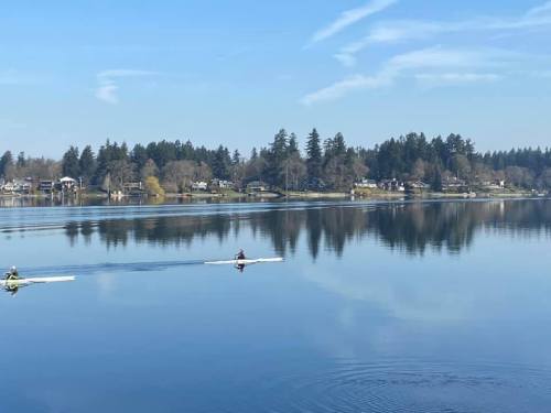 Two rowers glide across a calm lake, reflecting trees and houses under a clear blue sky.