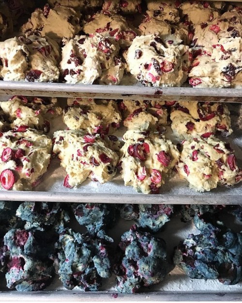 Baking trays filled with unbaked dough mixed with cranberries, showing a variety of colors and textures.