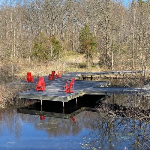 A wooden dock with red chairs overlooks a calm pond, surrounded by bare trees and shrubs in a tranquil setting.