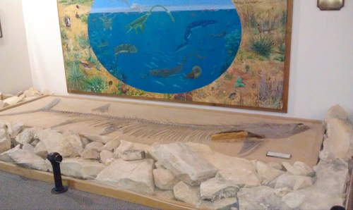 A large fossilized fish displayed on rocks, with a colorful mural of prehistoric sea life in the background.
