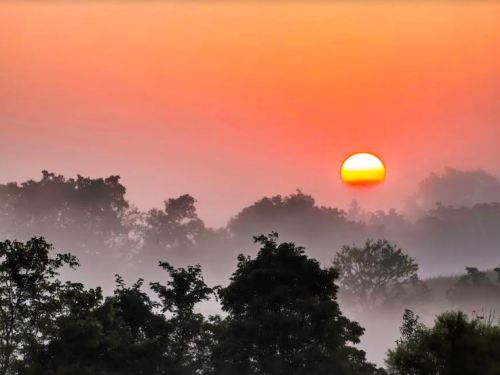 A serene sunrise over misty trees, with a vibrant orange sky and the sun rising above the horizon.