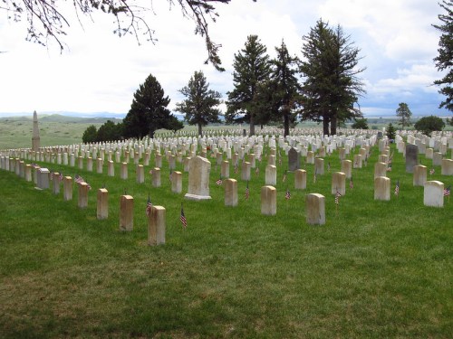 A serene cemetery with rows of white gravestones, surrounded by green grass and trees, adorned with small American flags.