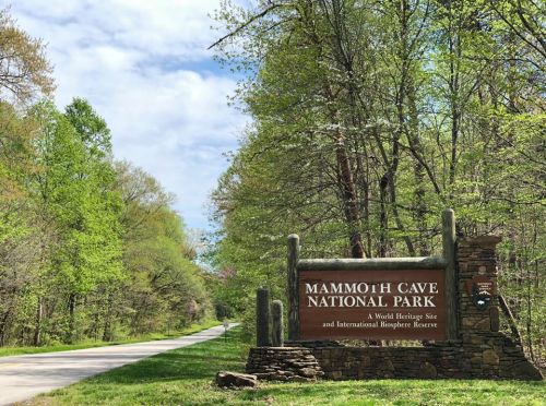 Sign for Mammoth Cave National Park, surrounded by lush green trees and a clear blue sky. Road leads into the park.