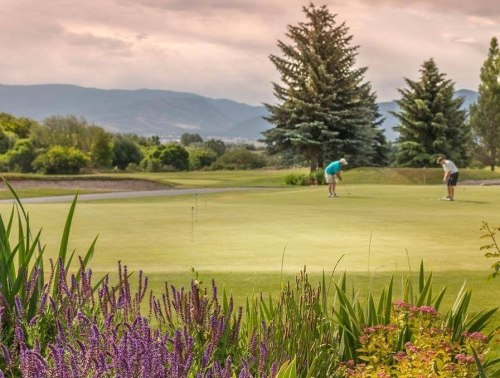 Two golfers putting on a green, surrounded by lush greenery and colorful flowers under a cloudy sky.