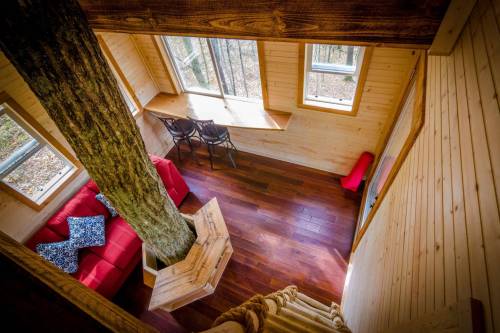 Cozy wooden interior of a treehouse with a central tree, red sofa, and large windows overlooking a forest.