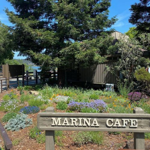 A sign for Marina Café in front of a building surrounded by colorful flowers and greenery under a clear blue sky.