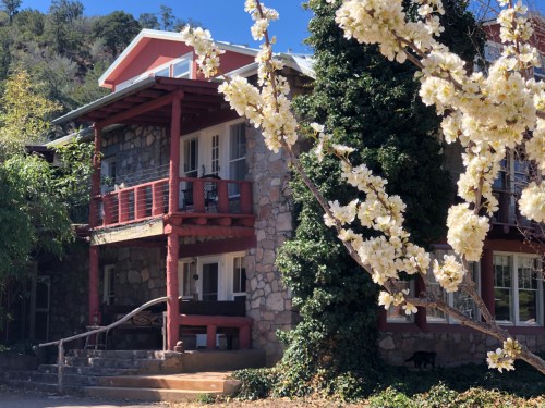 A charming stone house with a red balcony, surrounded by blooming white flowers and lush greenery.