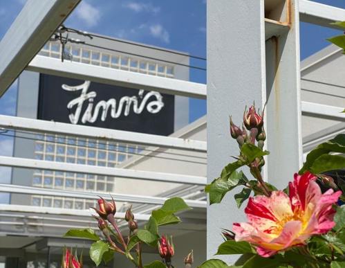 A vibrant rose bush in the foreground with a sign reading "Finn's" in the background against a blue sky.