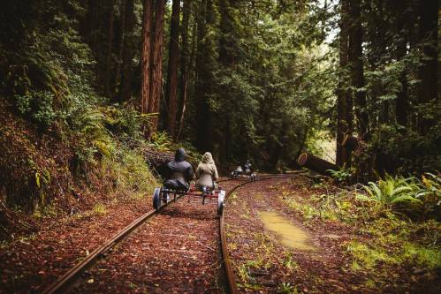 Two people ride on a rail bike along a forested path, surrounded by tall trees and lush greenery.