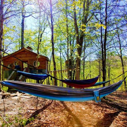Two colorful hammocks hang between trees near a wooden treehouse, surrounded by lush greenery and sunlight.