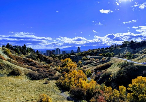 A scenic view of rolling hills with autumn foliage, overlooking a city skyline under a bright blue sky with clouds.