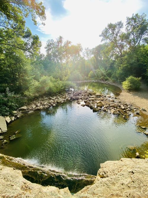 A serene river bends through lush greenery, with sunlight filtering through trees, creating a tranquil natural scene.