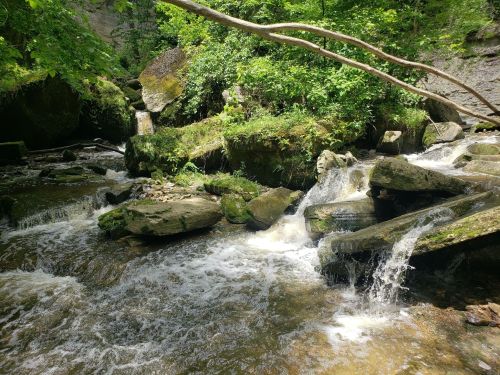 A serene stream flows over moss-covered rocks, surrounded by lush greenery and trees in a peaceful natural setting.