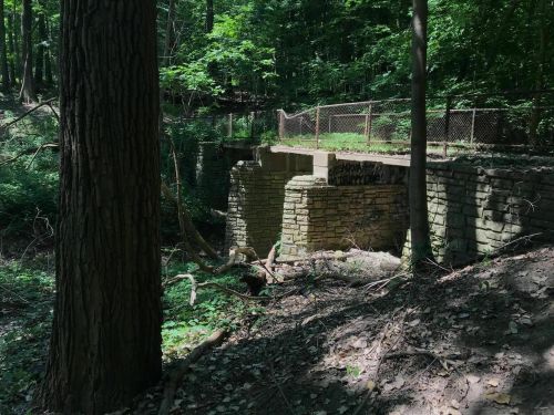 A stone bridge partially hidden in a lush green forest, surrounded by trees and underbrush.