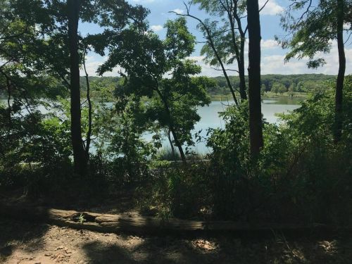 A serene lakeside view framed by trees, with sunlight filtering through the leaves and a calm water surface.