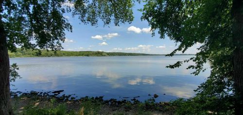 A serene lake view framed by trees, with clear blue skies and fluffy clouds reflecting on the water's surface.