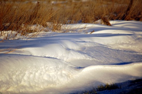 Snow-covered ground with gentle, rolling mounds and sparse grass peeking through, illuminated by warm sunlight.