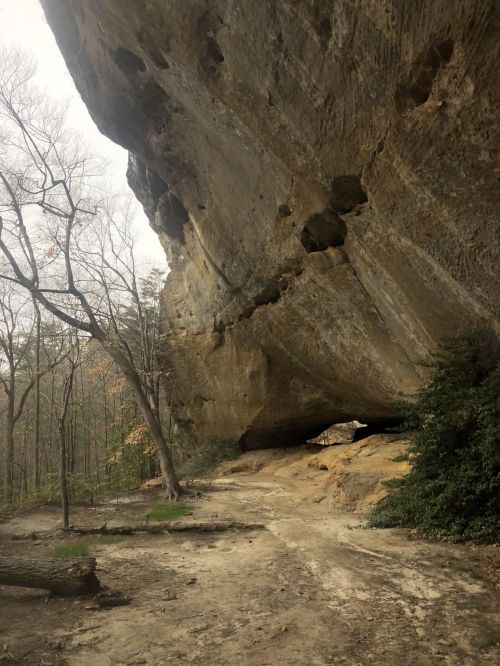 A large rock overhang in a wooded area, with trees and a dirt path leading underneath the rocky formation.