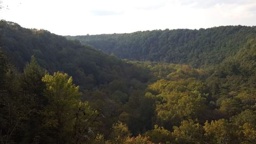 A scenic view of a lush green valley surrounded by rolling hills under a partly cloudy sky.