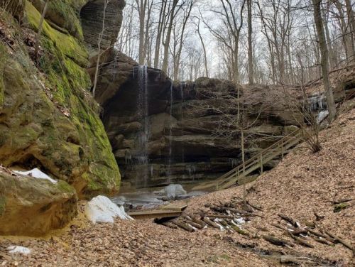 A serene forest scene featuring a small waterfall cascading over rocky cliffs, surrounded by bare trees and fallen leaves.