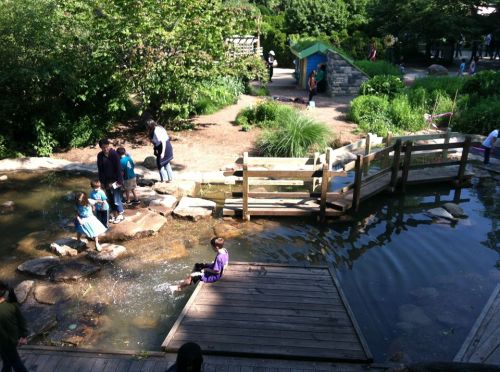 Children playing by a stream in a park, with a wooden bridge and lush greenery in the background.