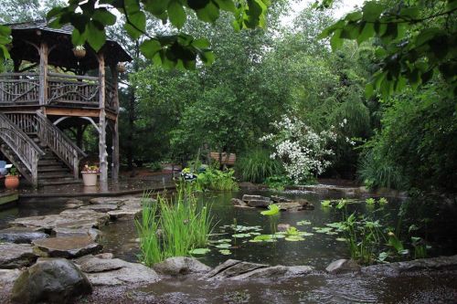 A serene garden scene featuring a pond, lush greenery, and a wooden gazebo surrounded by blooming flowers.