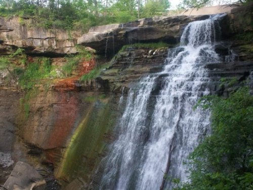 A cascading waterfall flows over rocky cliffs, surrounded by lush greenery and vibrant colors.