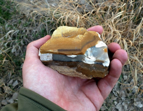 A person holding a large, polished rock with golden and brown layers, surrounded by dry grass.