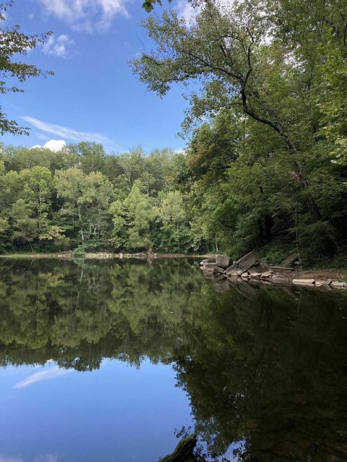 A serene lake surrounded by lush green trees, reflecting the sky and foliage on its calm surface.