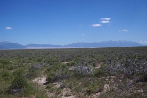 A vast, open landscape with sparse vegetation and distant mountains under a clear blue sky.