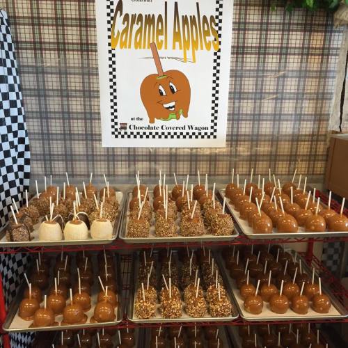 A display of caramel apples on trays, with a sign above reading "Caramel Apples at the Chocolate Covered Wagon."