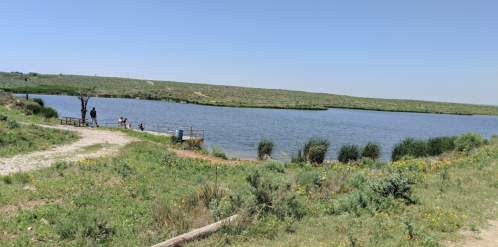 A serene lake surrounded by greenery, with people fishing and enjoying the outdoors on a sunny day.