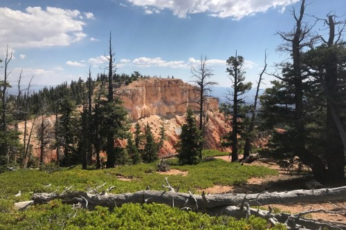 A scenic view of a rocky cliff surrounded by trees under a partly cloudy sky.