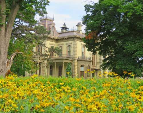 A historic mansion surrounded by vibrant yellow flowers and lush green trees under a clear sky.
