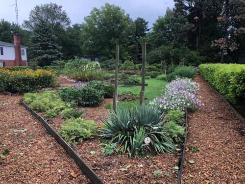A lush garden with various plants and flowers, surrounded by wooden borders and a grassy area in the background.