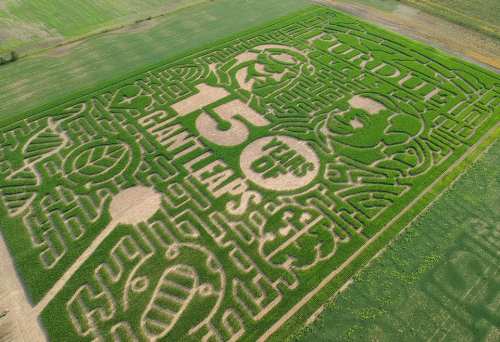 Aerial view of a corn maze celebrating "150 Years of Giant Leaps" with intricate designs and patterns.