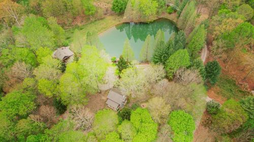 Aerial view of a serene landscape featuring a pond surrounded by lush green trees and a cozy house.