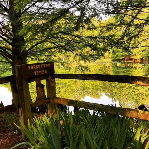A serene pond surrounded by lush greenery, with a sign reading "Forgotten Times" near a wooden fence.