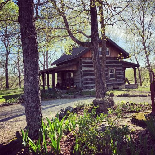 A rustic log cabin surrounded by trees and greenery, with a gravel path leading to the entrance.