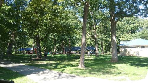 A sunny park scene with green grass, tall trees, picnic tables, and a building in the background.