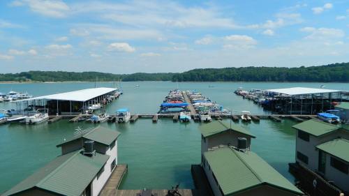A serene lake view with docks and boats, surrounded by green hills under a blue sky with fluffy clouds.