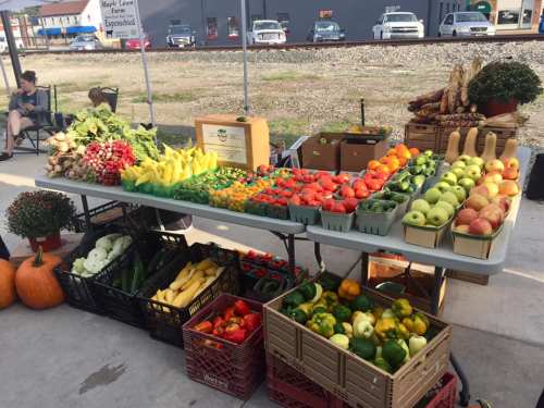 A market table displays a variety of fresh vegetables and fruits, including squash, tomatoes, apples, and pumpkins.