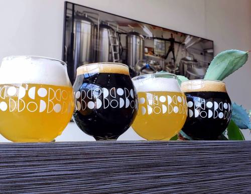 Four glasses of beer, two light and two dark, displayed on a wooden surface with brewing equipment in the background.
