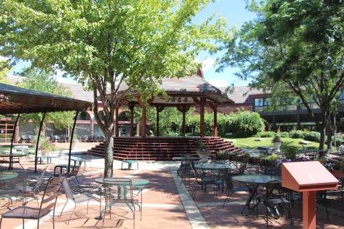 A sunny courtyard with a gazebo, surrounded by trees and tables, creating a peaceful outdoor gathering space.