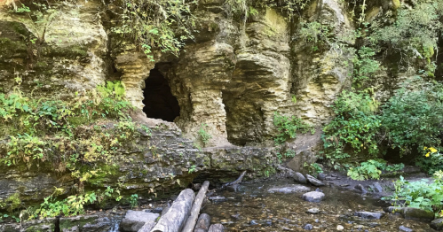 A rocky cliff with two cave openings, surrounded by lush greenery and a small stream in the foreground.