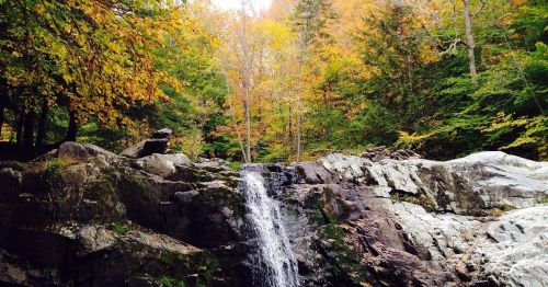 A serene waterfall cascades over rocks, surrounded by vibrant autumn foliage in a tranquil forest setting.