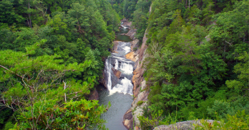 A scenic view of a waterfall cascading into a river, surrounded by lush green trees and rocky terrain.